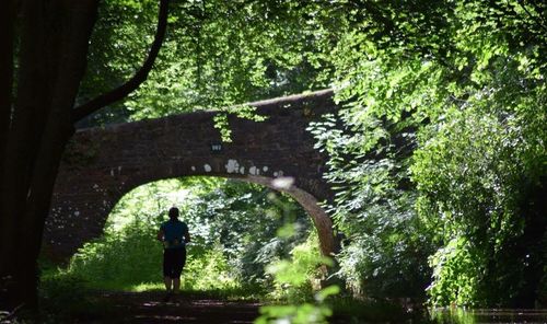 Rear view of man walking amidst trees