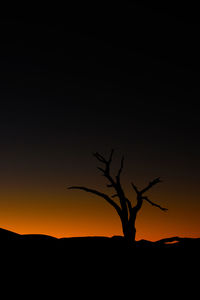 Silhouette bare tree against sky at sunset