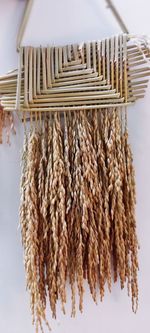 Close-up of corn on table