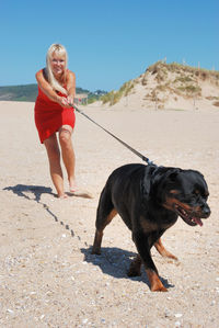 Full length of woman with dog at beach during sunny day