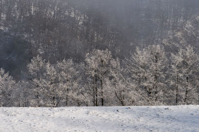 Scenic view of snowcapped landscape during winter