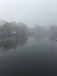 Reflection of trees in lake against sky