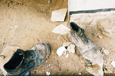 High angle view of cat on rock