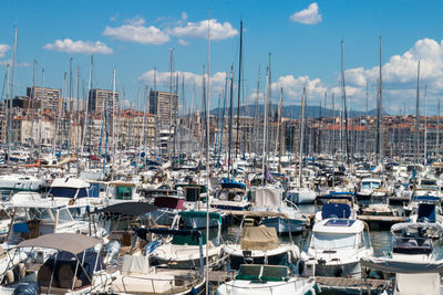 Sailboats moored in harbor