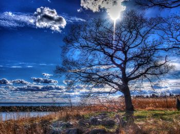 Scenic view of landscape against cloudy sky