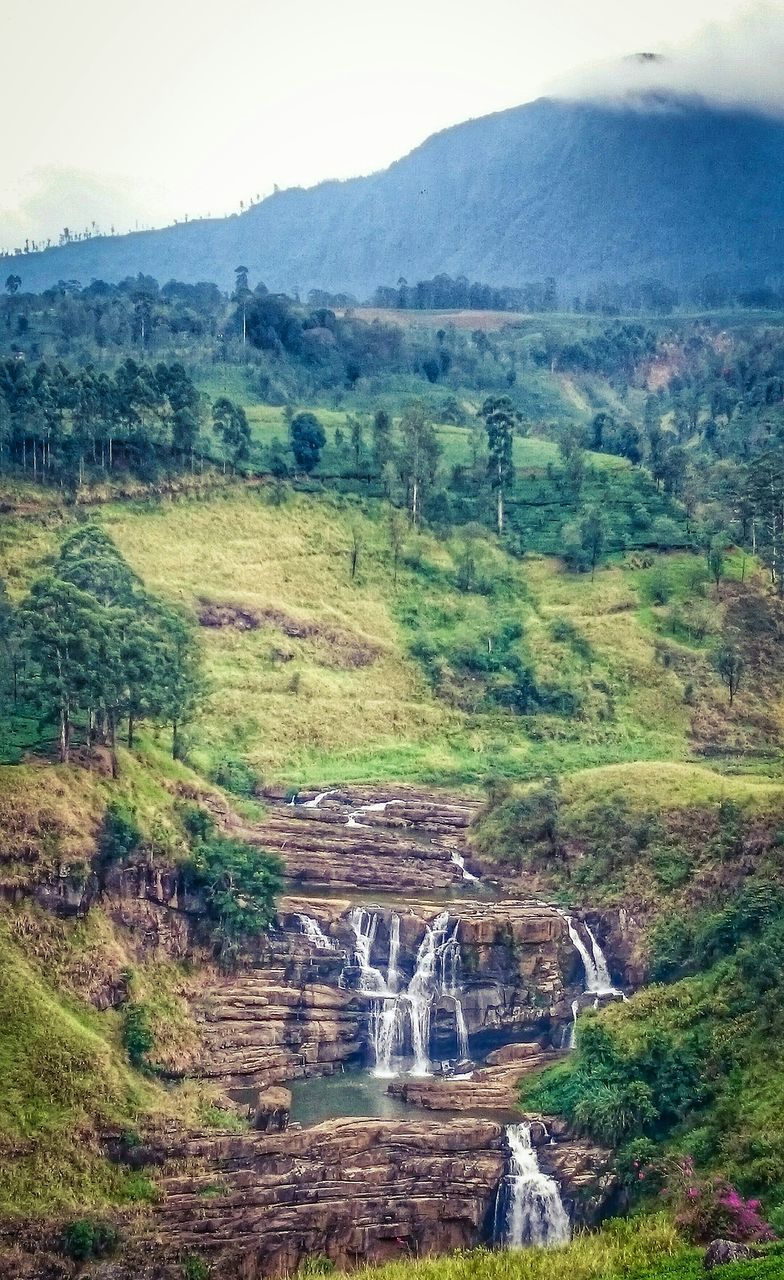 landscape, tranquil scene, scenics, tranquility, grass, rural scene, field, mountain, nature, beauty in nature, hill, green color, agriculture, non-urban scene, tree, stream, remote, growth, plant, clear sky