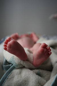 Low section of baby feet in hand