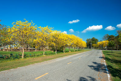 Road amidst trees against sky during autumn