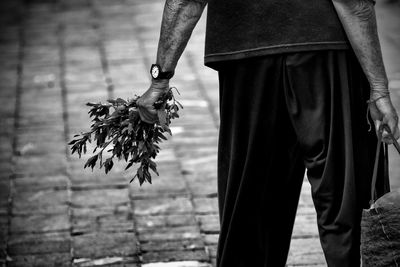 Midsection of man holding leaves on footpath