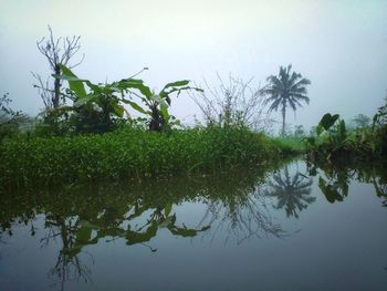 Reflection of trees in lake against sky