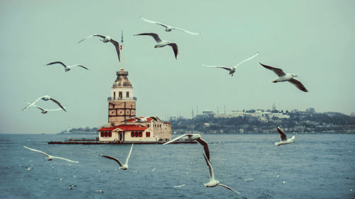 Seagulls flying over sea against sky