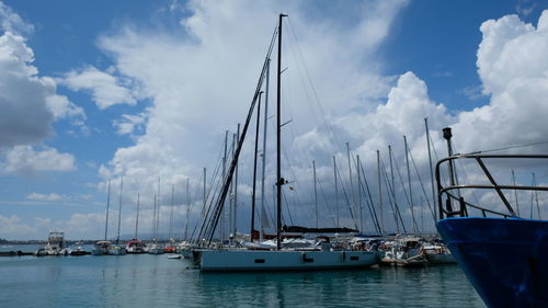 Sailboats moored in harbor against sky