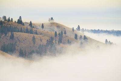 Panoramic view of landscape against sky