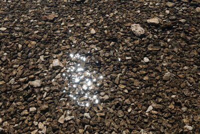 asphalt
