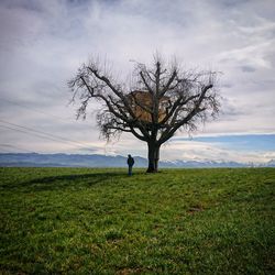 Rear view of person standing on grassy field by bare tree against cloudy sky