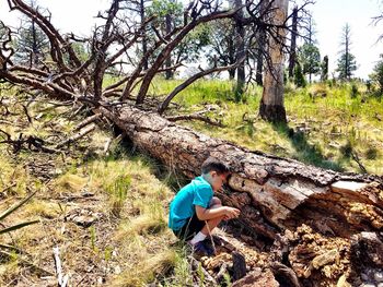 Boy crouching by fallen tree on hill during sunny day