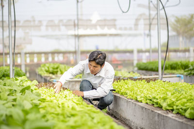 Portrait of woman standing amidst plants