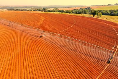 Agro business producing to supply a quarantined population