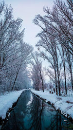 Snow covered bare trees against sky