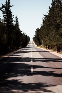 Empty road amidst trees during sunny day