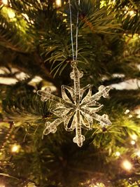 Close-up of christmas tree during winter