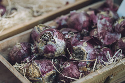 Close-up of vegetables