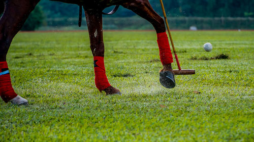 Low section of man playing soccer on field