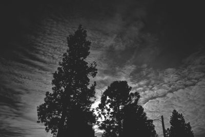 Low angle view of silhouette tree against sky