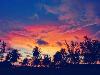 Silhouette trees against dramatic sky during sunset