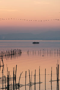 Boat and line of birds at valencia's albufera sunset against the light