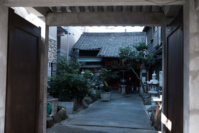 Trees along buildings