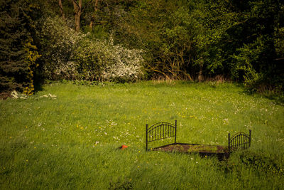 View of park bench on field