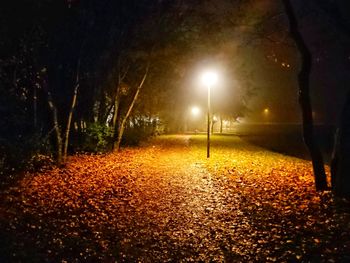 Illuminated street light in park at night