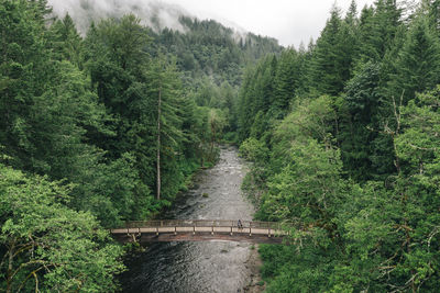 A young couple enjoys a hike on a bridge in the pacific northwest.