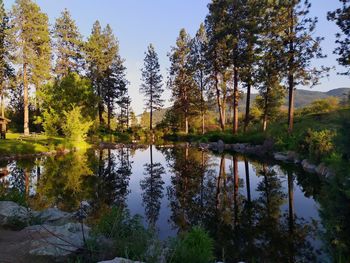 Reflection of trees in lake against sky