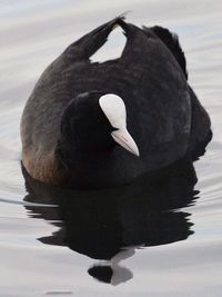 Close-up of water