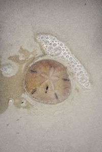 High angle view of sand on beach