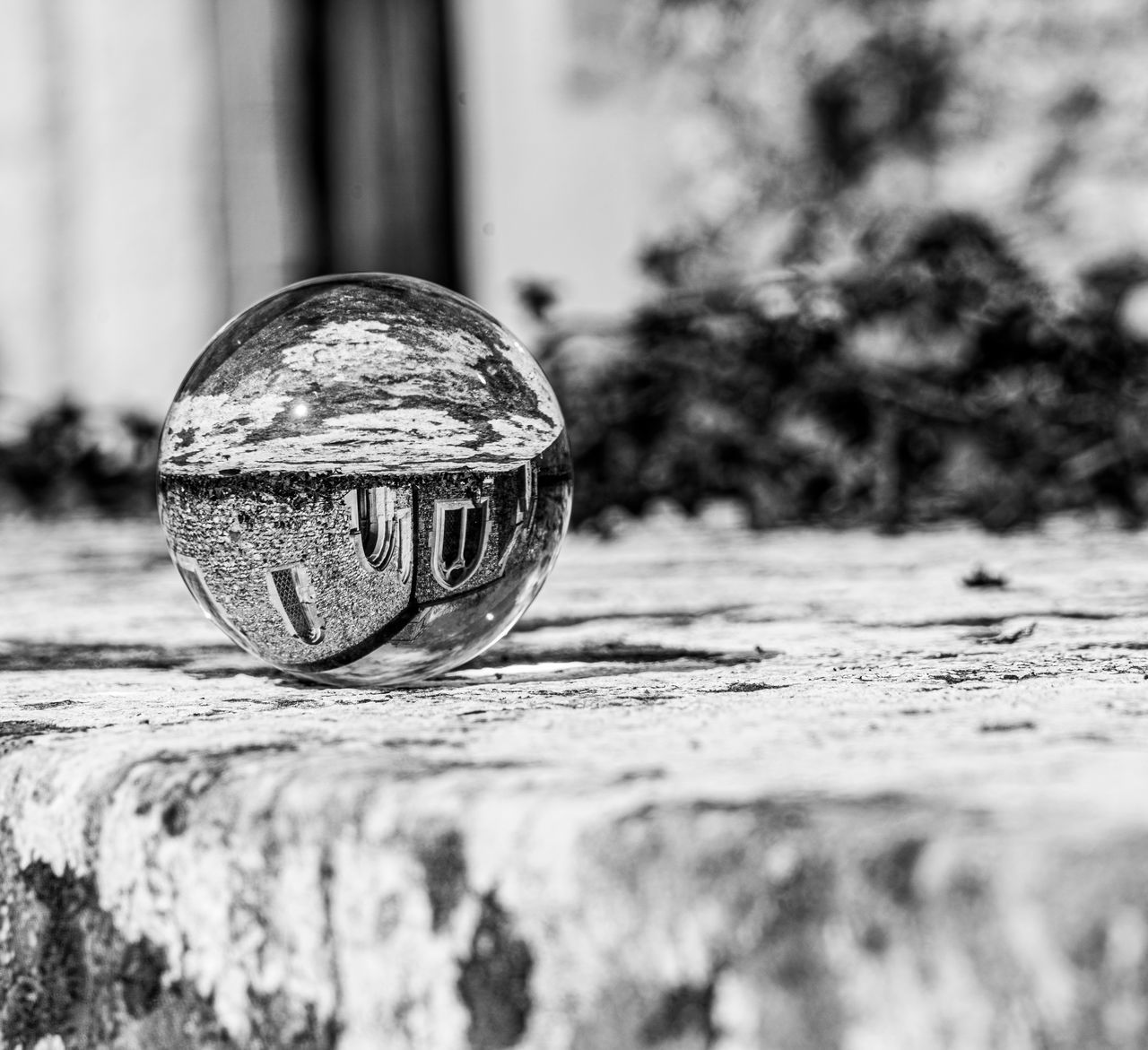 CLOSE-UP OF BALL ON GLASS AGAINST TREES