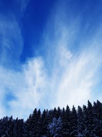 Low angle view of trees against blue sky