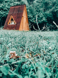 Surface level of messy field against trees and houses