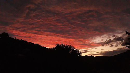 Low angle view of silhouette trees against dramatic sky