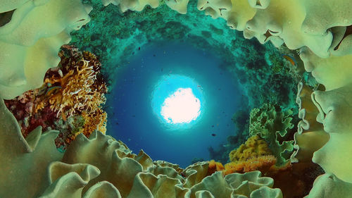 marine biology