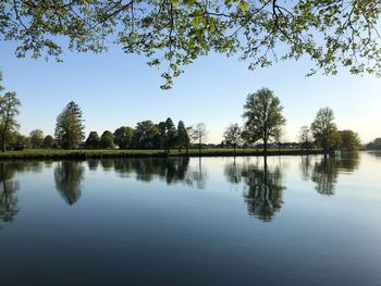 Reflection of trees in lake against sky