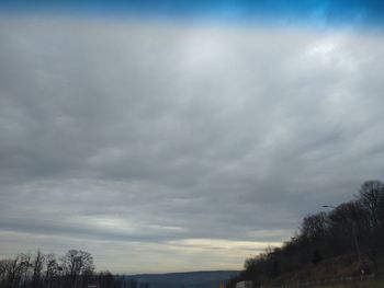 Low angle view of trees against cloudy sky