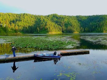 Scenic view of lake by trees against sky