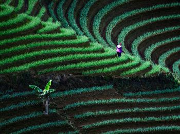 Farmer working on agricultural field