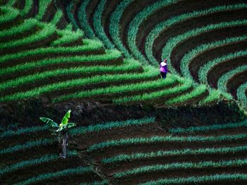 Farmer working on agricultural field