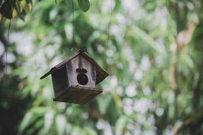 Close-up of birdhouse on tree