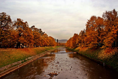 Canal amidst trees against sky during autumn