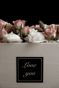 Close-up of roses against black background